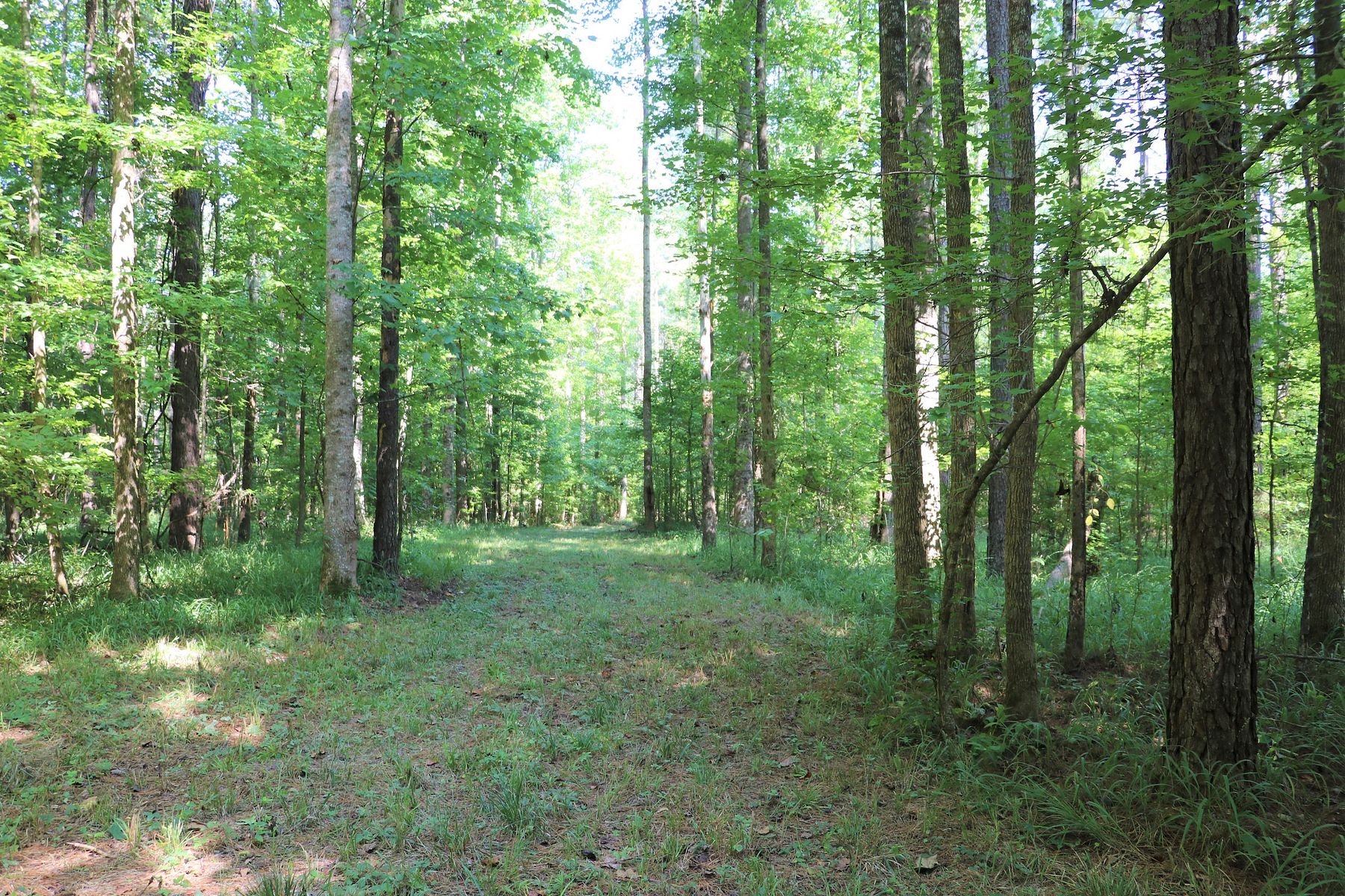 200 Acres of Recreational Land Lexington, Mississippi, MS