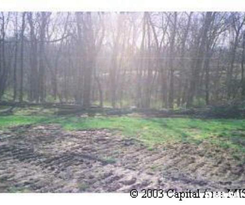 0.64 Acres of Residential Land Petersburg, Illinois, IL