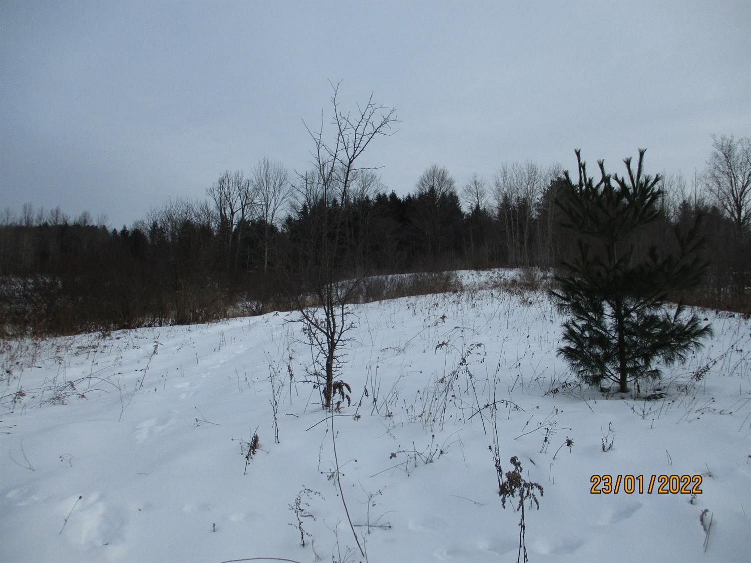 59.1 Acres of Recreational Land Plymouth, New York, NY
