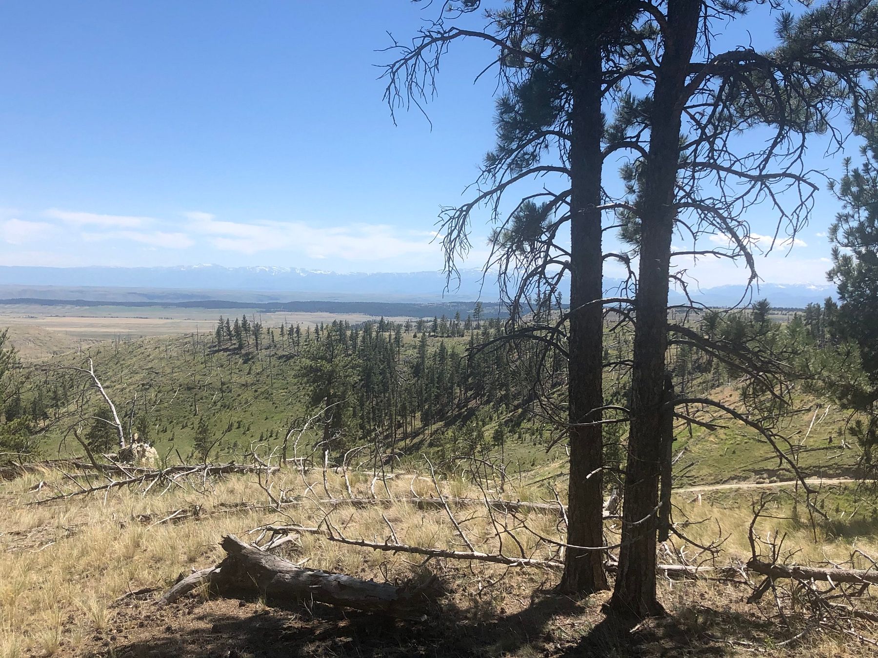 20 Acres of Recreational Land Reed Point, Montana, MT