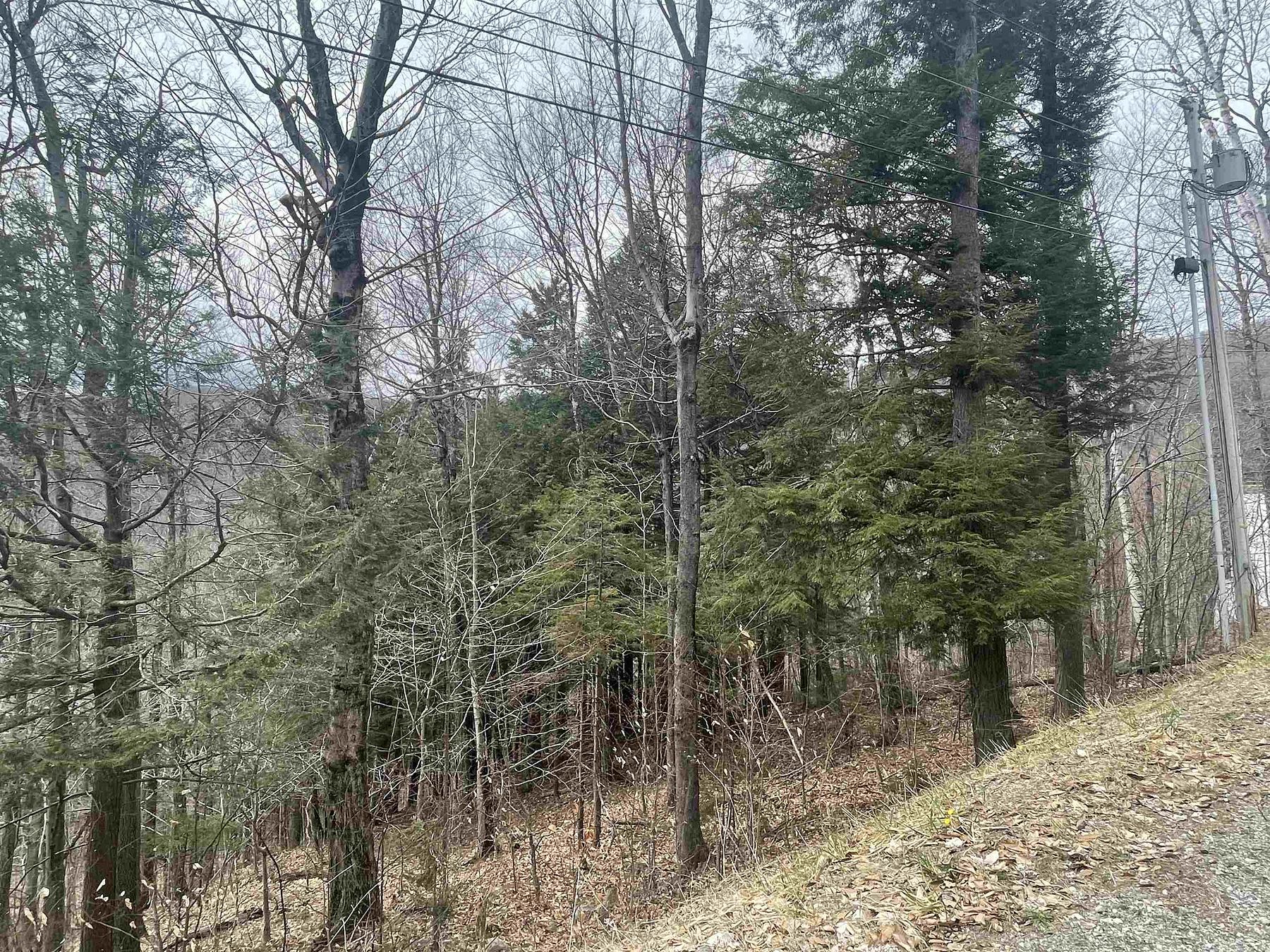 1.7 Acres of Residential Land Plymouth, Vermont, VT