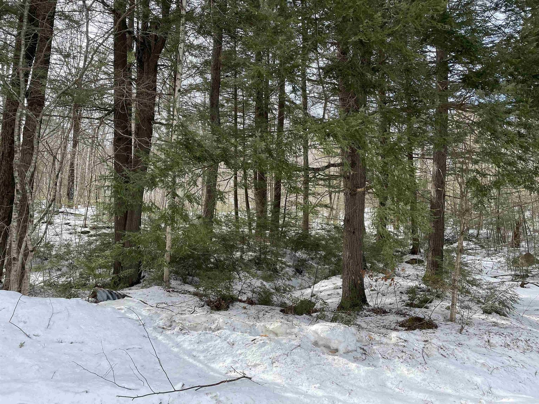 8.2 Acres of Land Ossipee, New Hampshire, NH