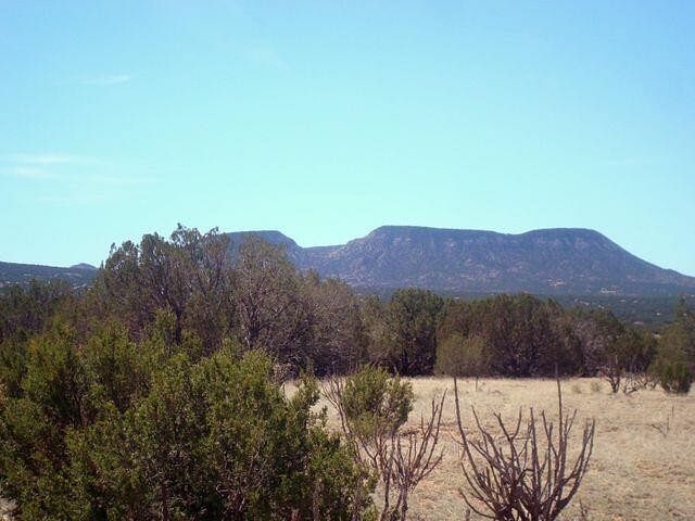 40 Acres of Land Bernardo, New Mexico, NM
