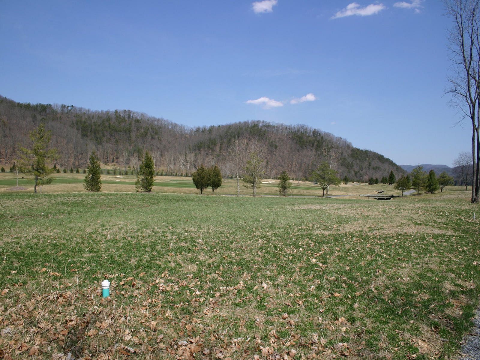 0.62 Acres of Residential Land White Sulphur Springs, West Virginia, WV