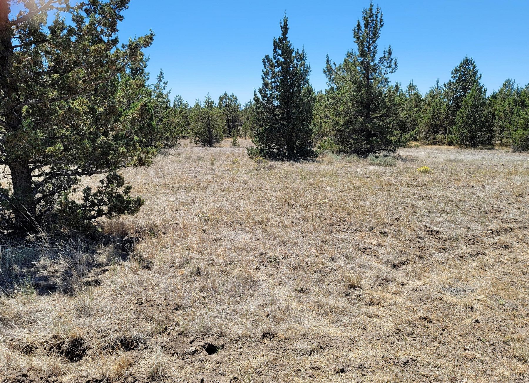 4.9 Acres of Residential Land Prineville, Oregon, OR