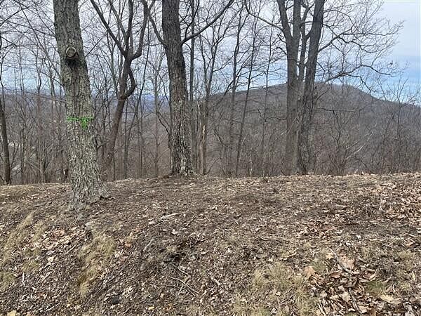 2.1 Acres of Residential Land Caldwell, West Virginia, WV