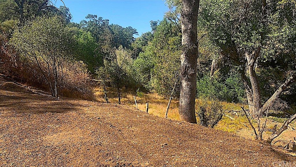 0.3 Acres of Land Mariposa, California, CA
