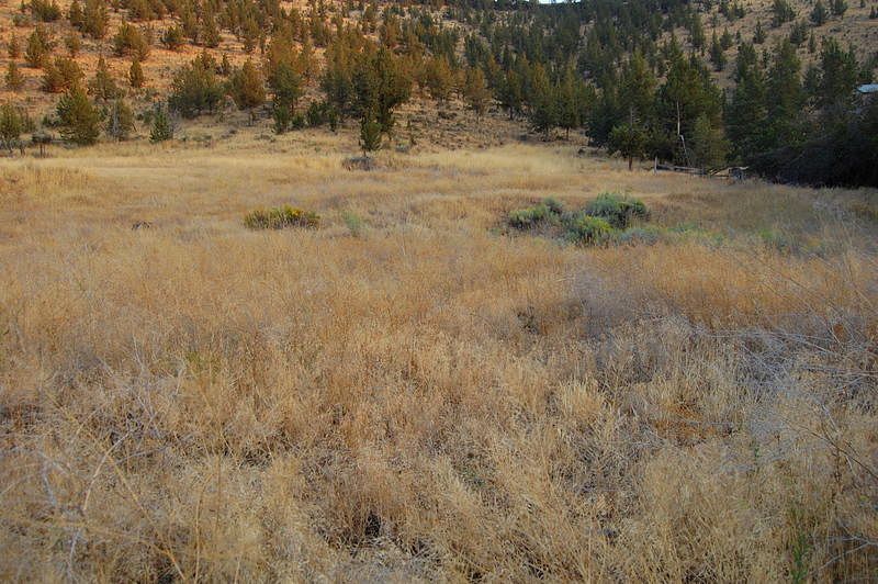 1.2 Acres of Residential Land Prineville, Oregon, OR