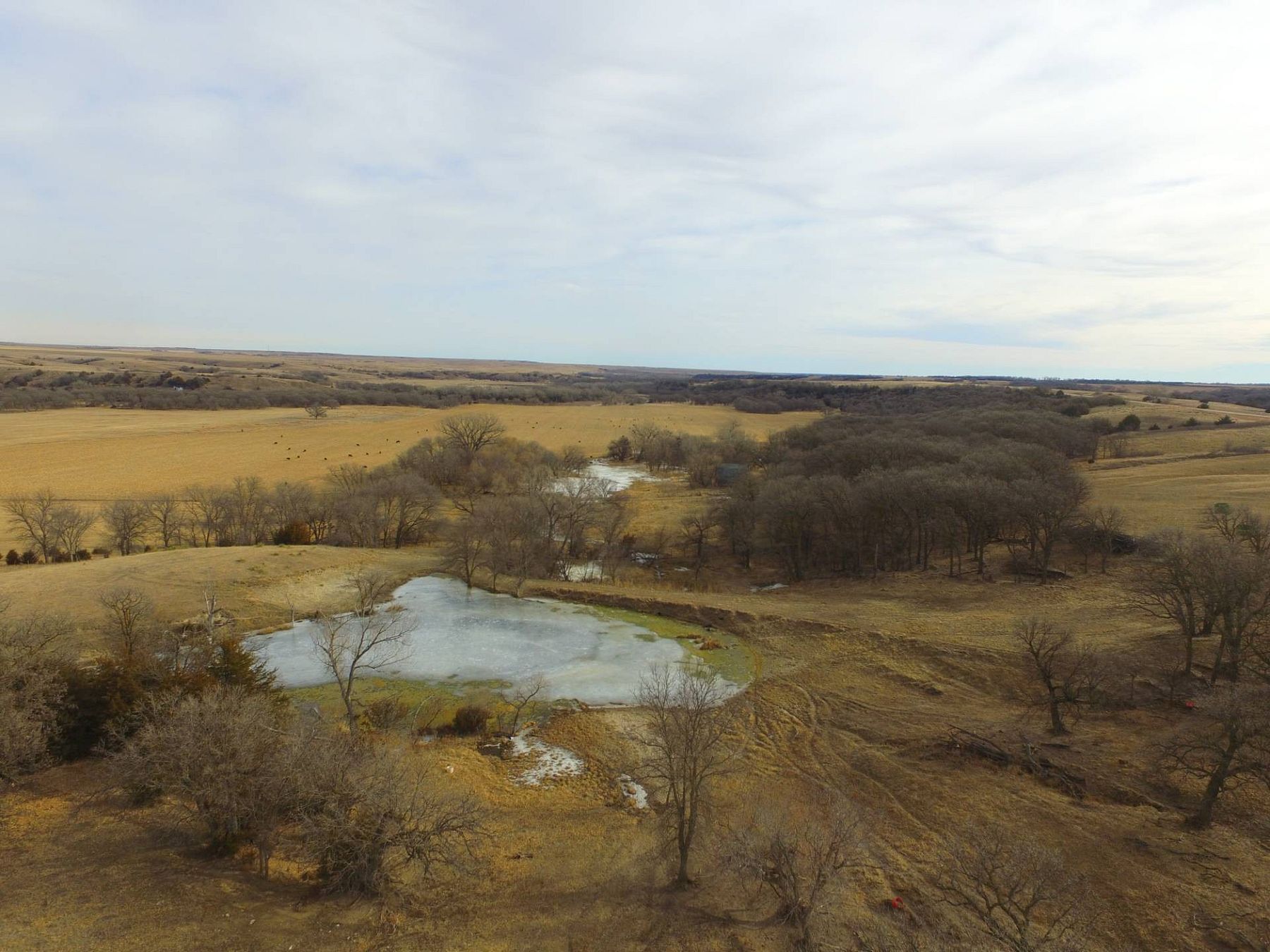 981 Acres of Agricultural Land for Auction in Mills, Nebraska, NE