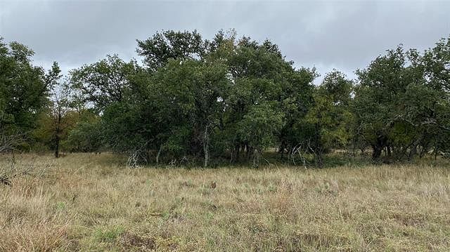 0.89 Acres of Residential Land Brownwood, Texas, TX