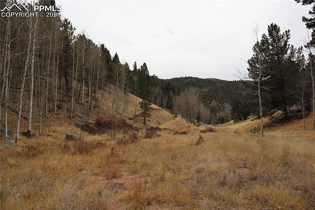 1.1 Acres of Residential Land Divide, Colorado, CO