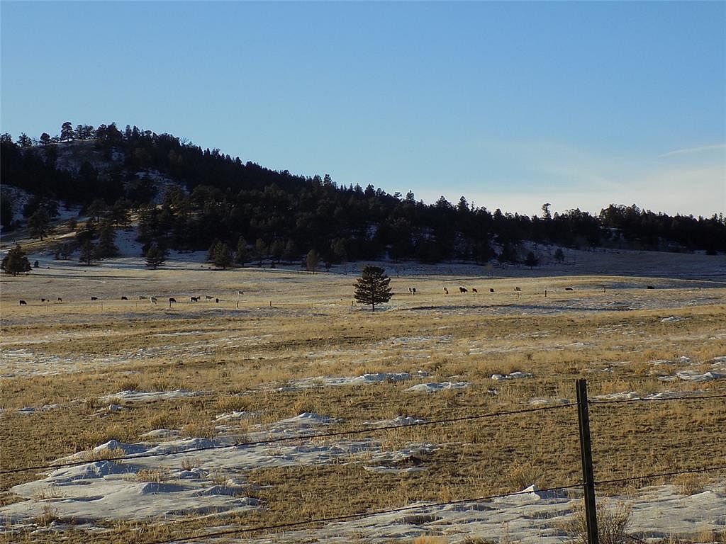 40 Acres of Agricultural Land Hartsel, Colorado, CO