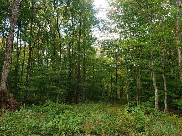12 Acres of Recreational Land Lewis Town, New York, NY
