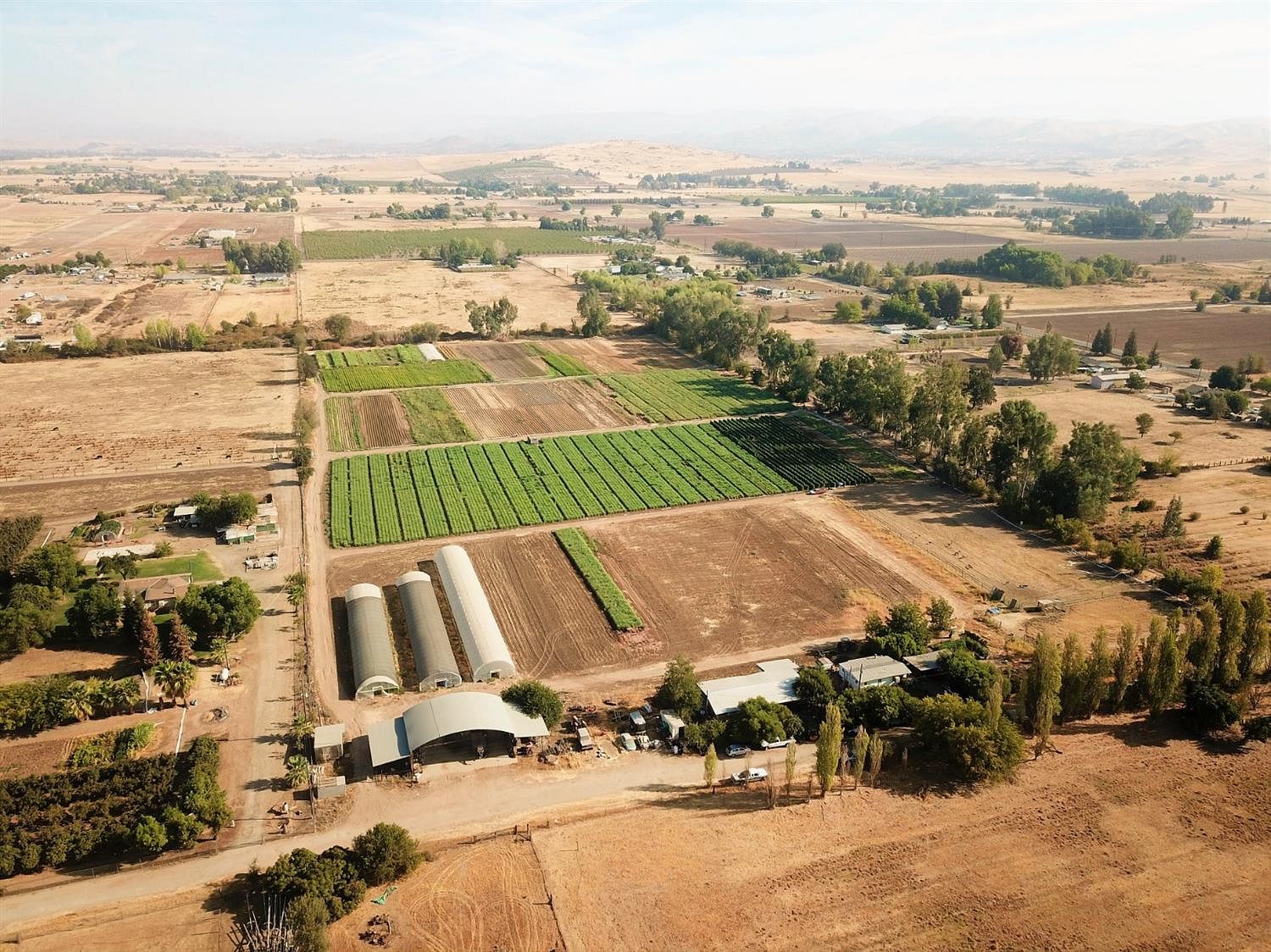 21.8 Acres of Improved Agricultural Land Sanger, California, CA