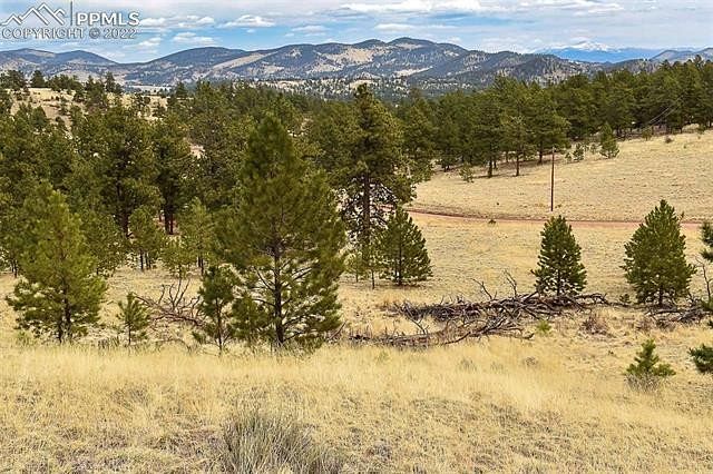 20 Acres of Recreational Land Guffey, Colorado, CO
