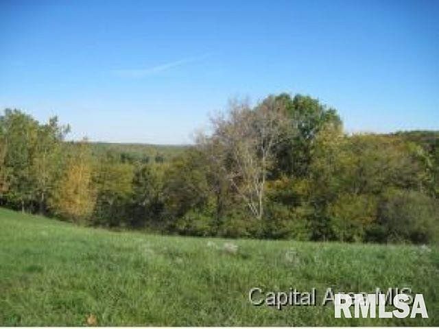 0.57 Acres of Residential Land Petersburg, Illinois, IL