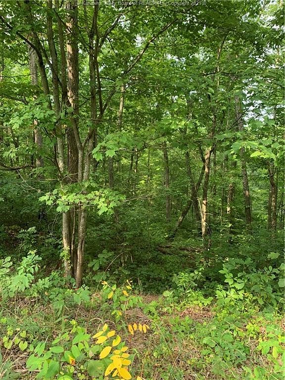27.7 Acres of Land Procious, West Virginia, WV