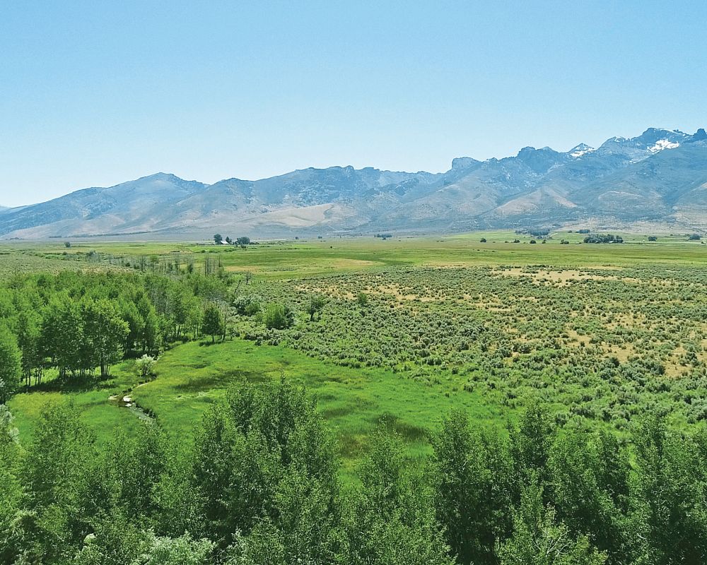 3,198 Acres of Recreational Land & Farm Spring Creek, Nevada, 