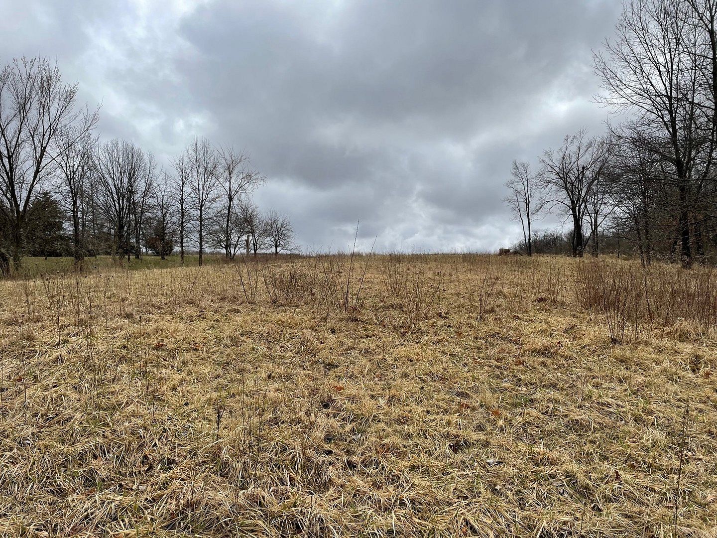 1 Acre of Residential Land Danvers, Illinois, IL