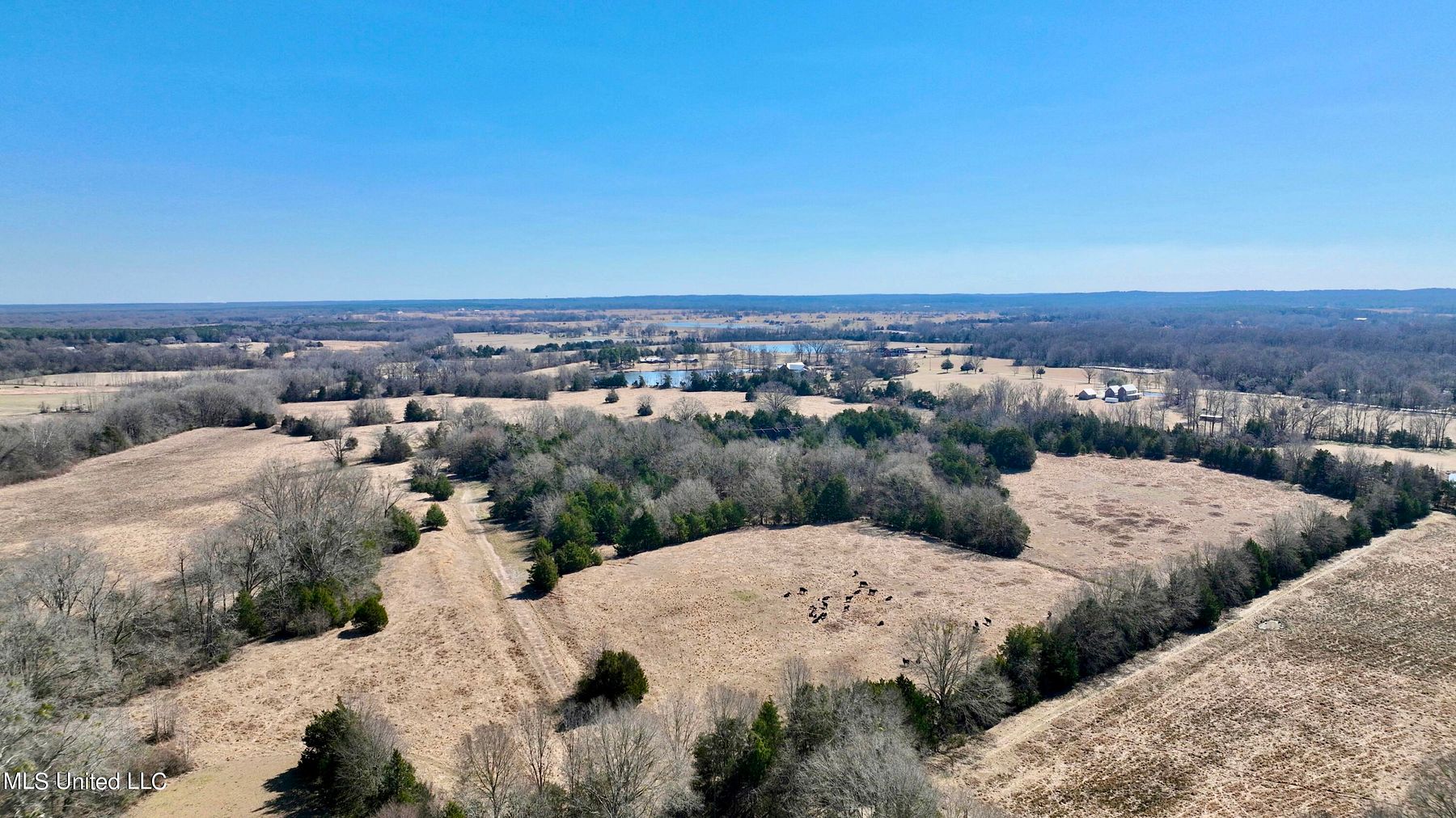 144 Acres of Recreational Land Flora, Mississippi, MS