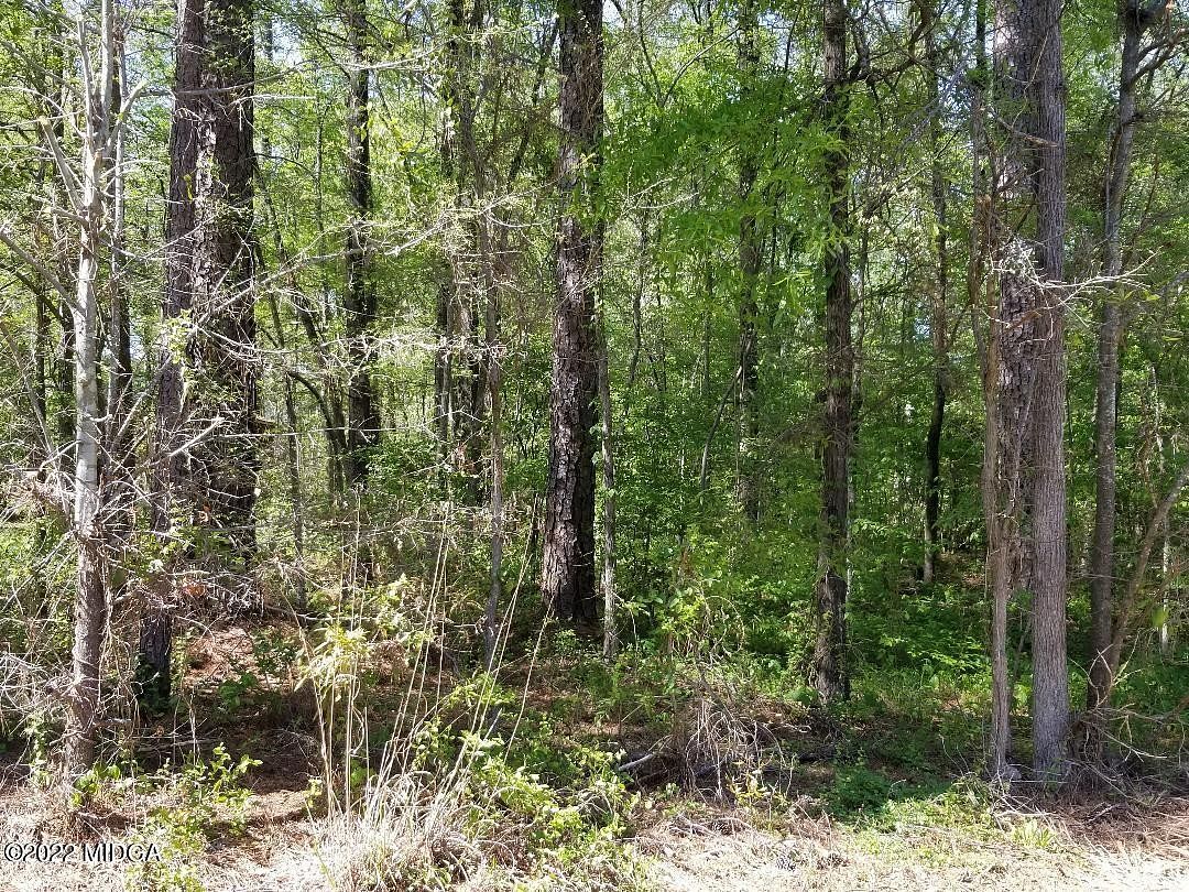 1.3 Acres of Land Macon, Georgia, GA