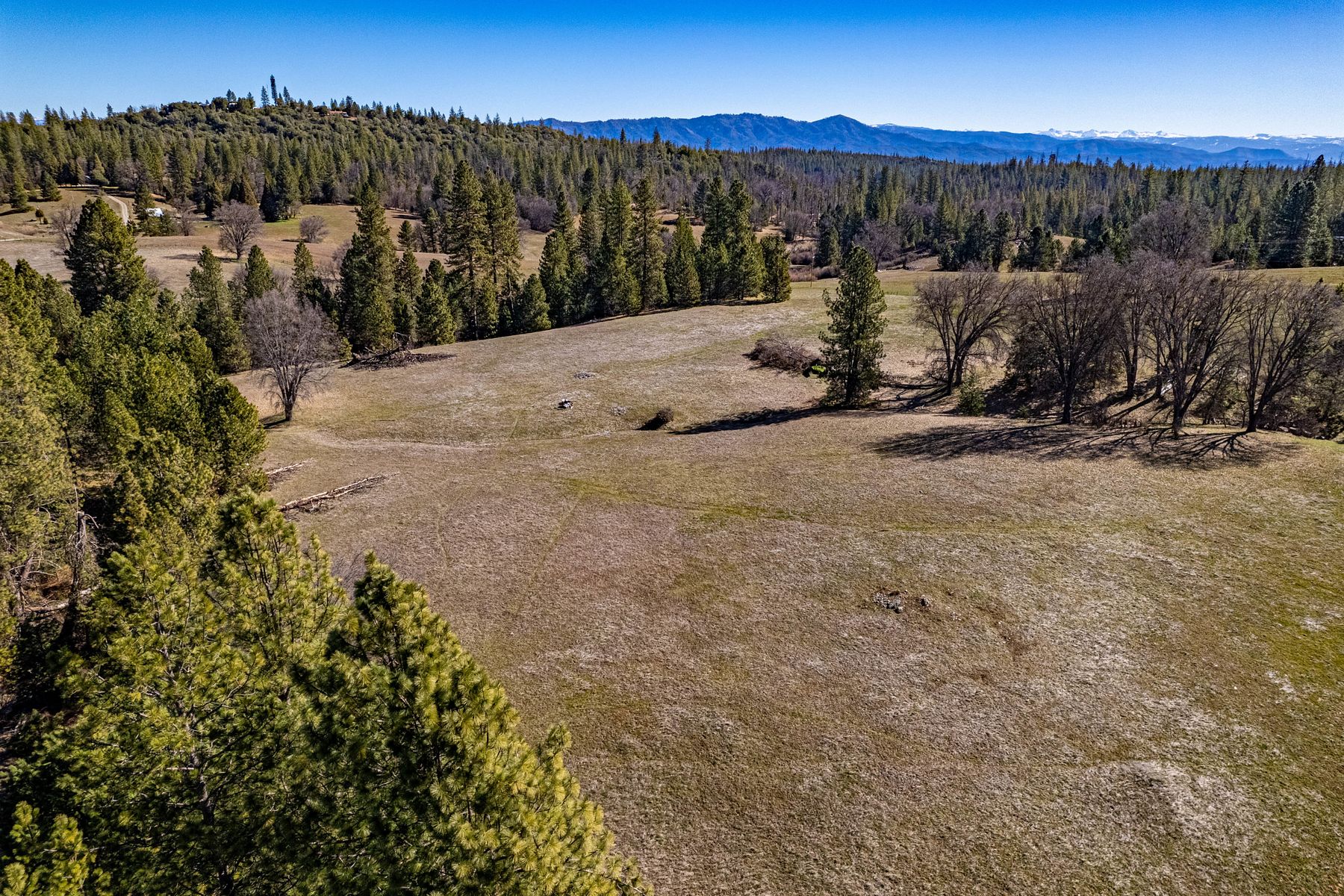45 Acres of Recreational Land & Farm Coulterville, California, CA