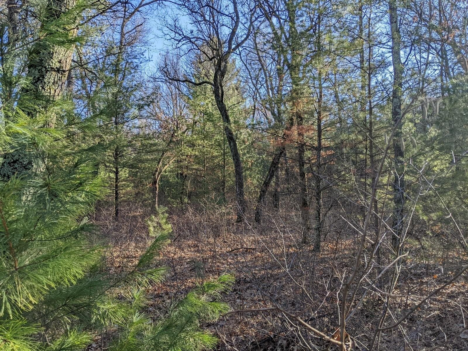 1.1 Acres of Residential Land Friendship, Wisconsin, WI