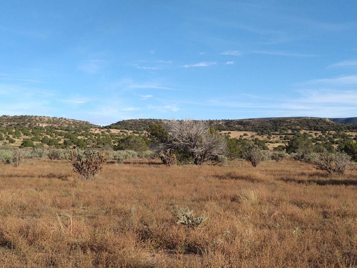 200 Acres of Agricultural Land Mountainair, New Mexico, NM