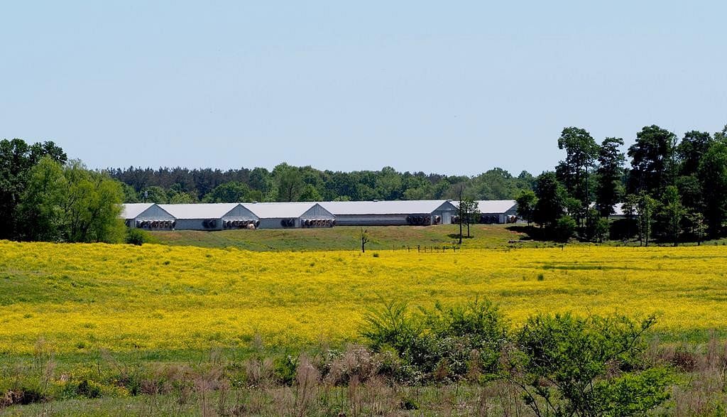 151 Acres of Agricultural Land & Home Neshoba, Mississippi, MS