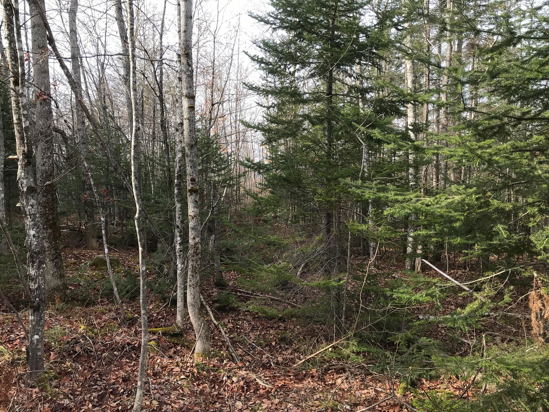 119 Acres of Recreational Land & Farm Stacyville, Maine, ME