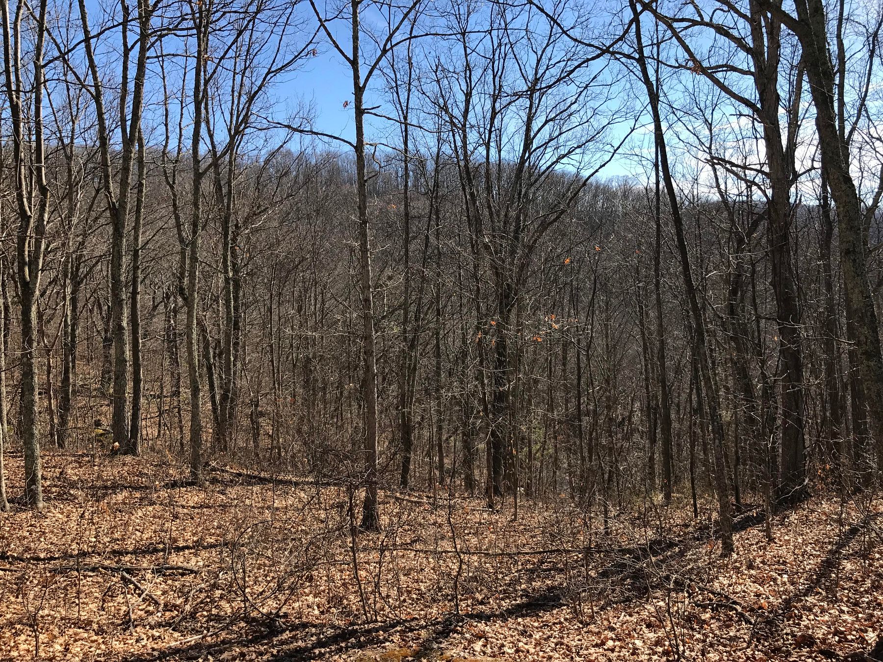 2 Acres of Residential Land Caldwell, West Virginia, WV