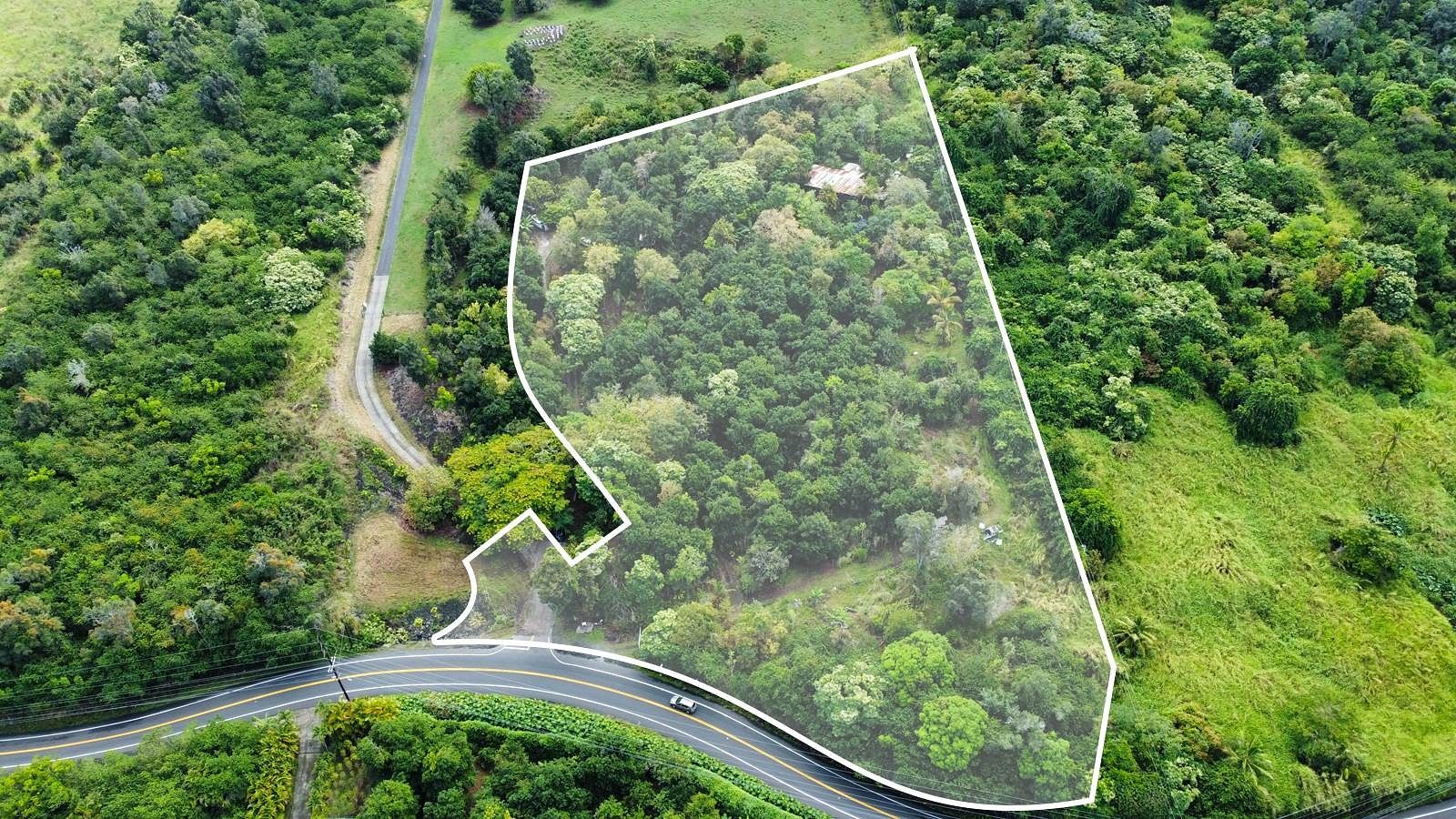 5 Acres of Mixed-Use Land & Home Captain Cook, Hawaii, HI