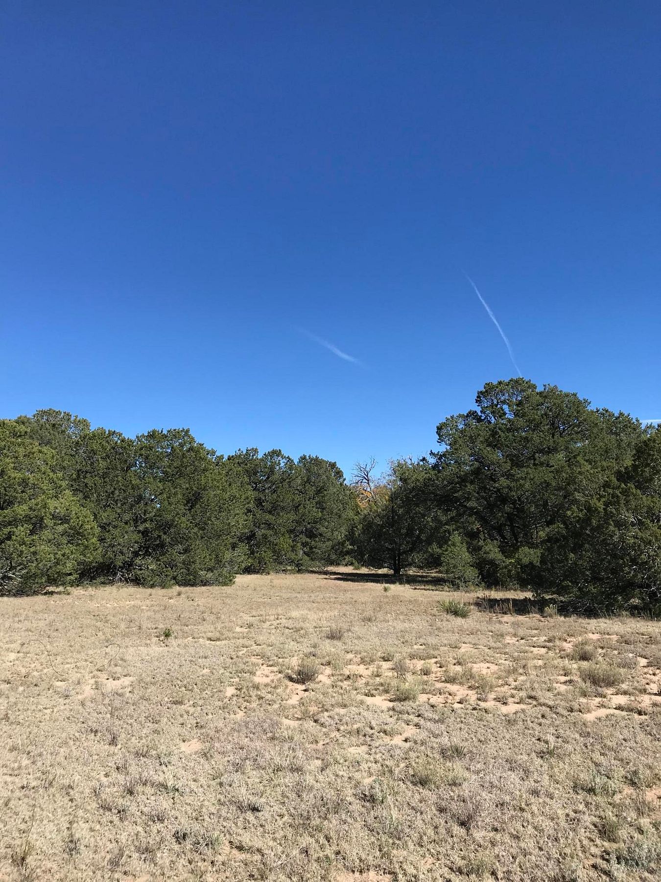 10.9 Acres of Land Tijeras, New Mexico, NM