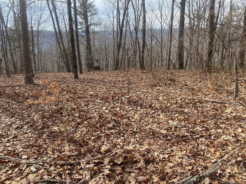 1.3 Acres of Residential Land Spencer, Tennessee, TN