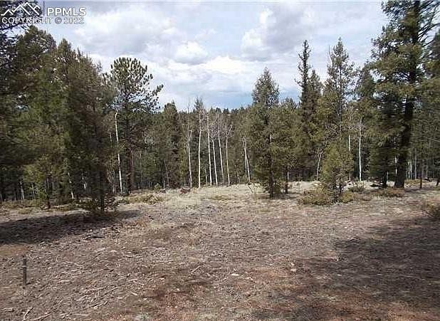 1 Acre of Residential Land Divide, Colorado, CO