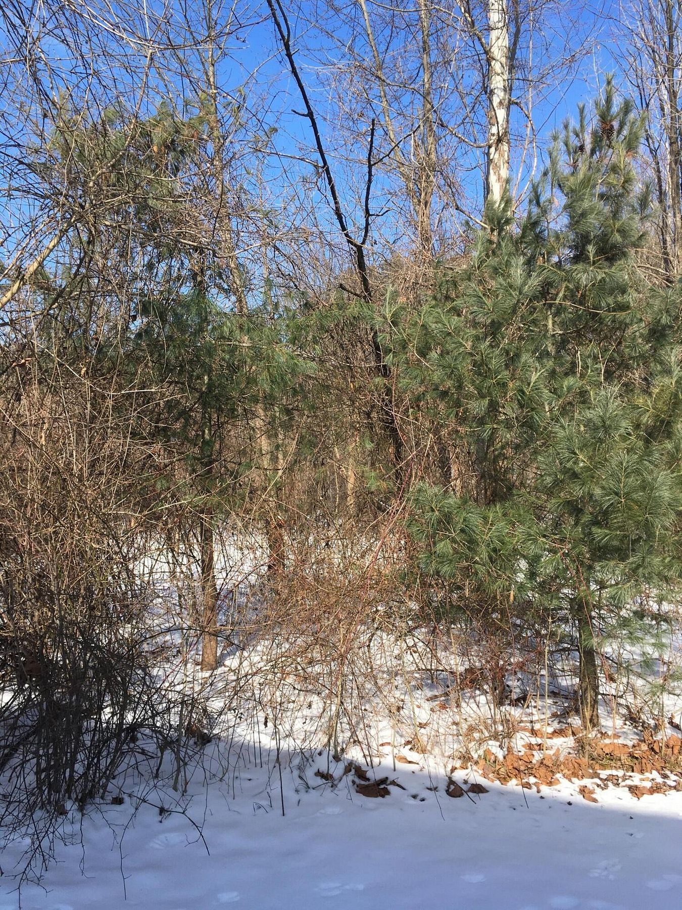 1.9 Acres of Residential Land Baltimore, Ohio, OH