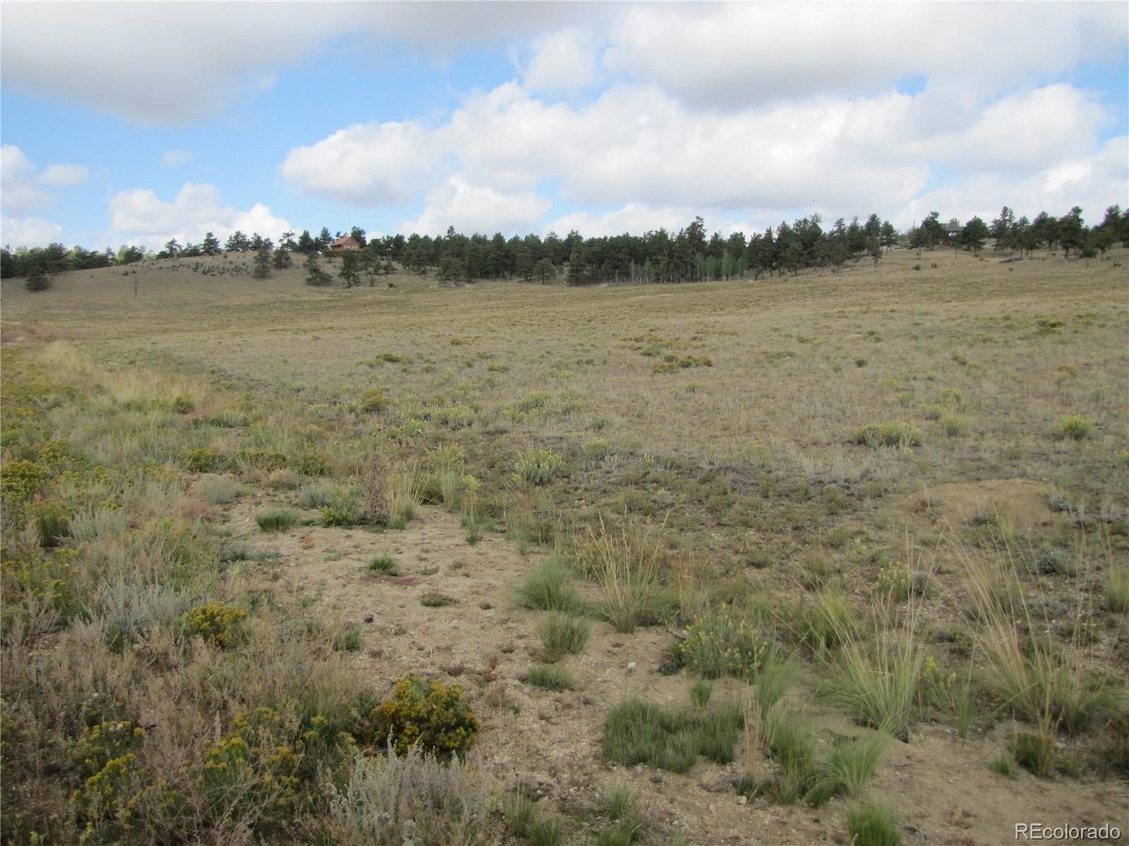 6 Acres of Land Hartsel, Colorado, CO