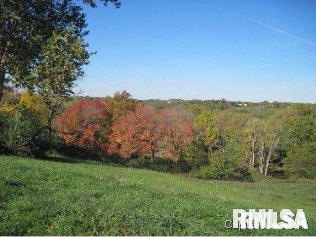 0.52 Acres of Residential Land Petersburg, Illinois, IL