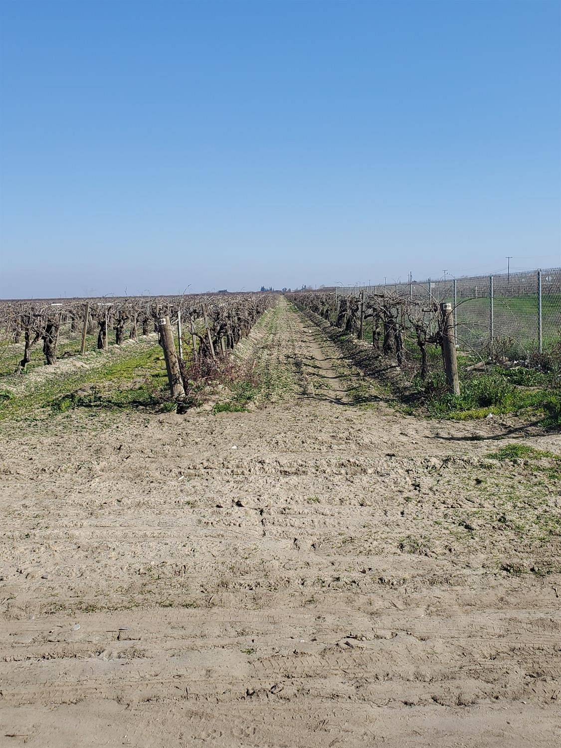 39.8 Acres of Agricultural Land Madera, California, CA