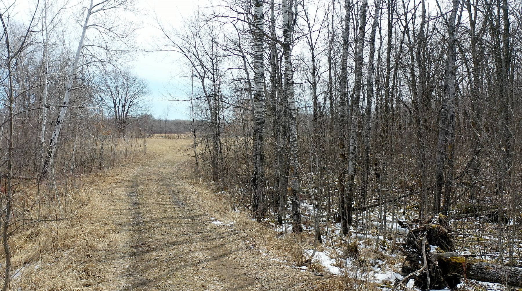 80 Acres of Recreational Land Hillman, Minnesota, MN
