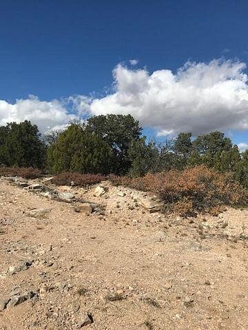 0.5 Acres of Land Edgewood, New Mexico, NM