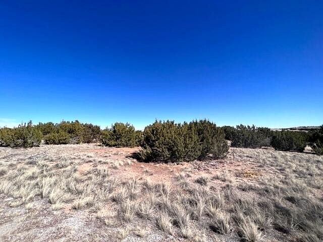 4 Acres of Commercial Land Edgewood, New Mexico, NM