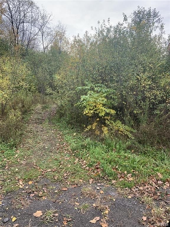 2.1 Acres of Residential Land & Home New Hartford, New York, NY