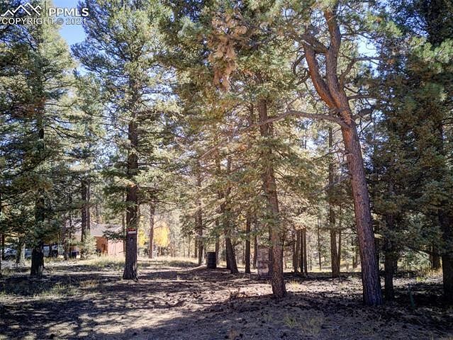 0.34 Acres of Residential Land Woodland Park, Colorado, CO