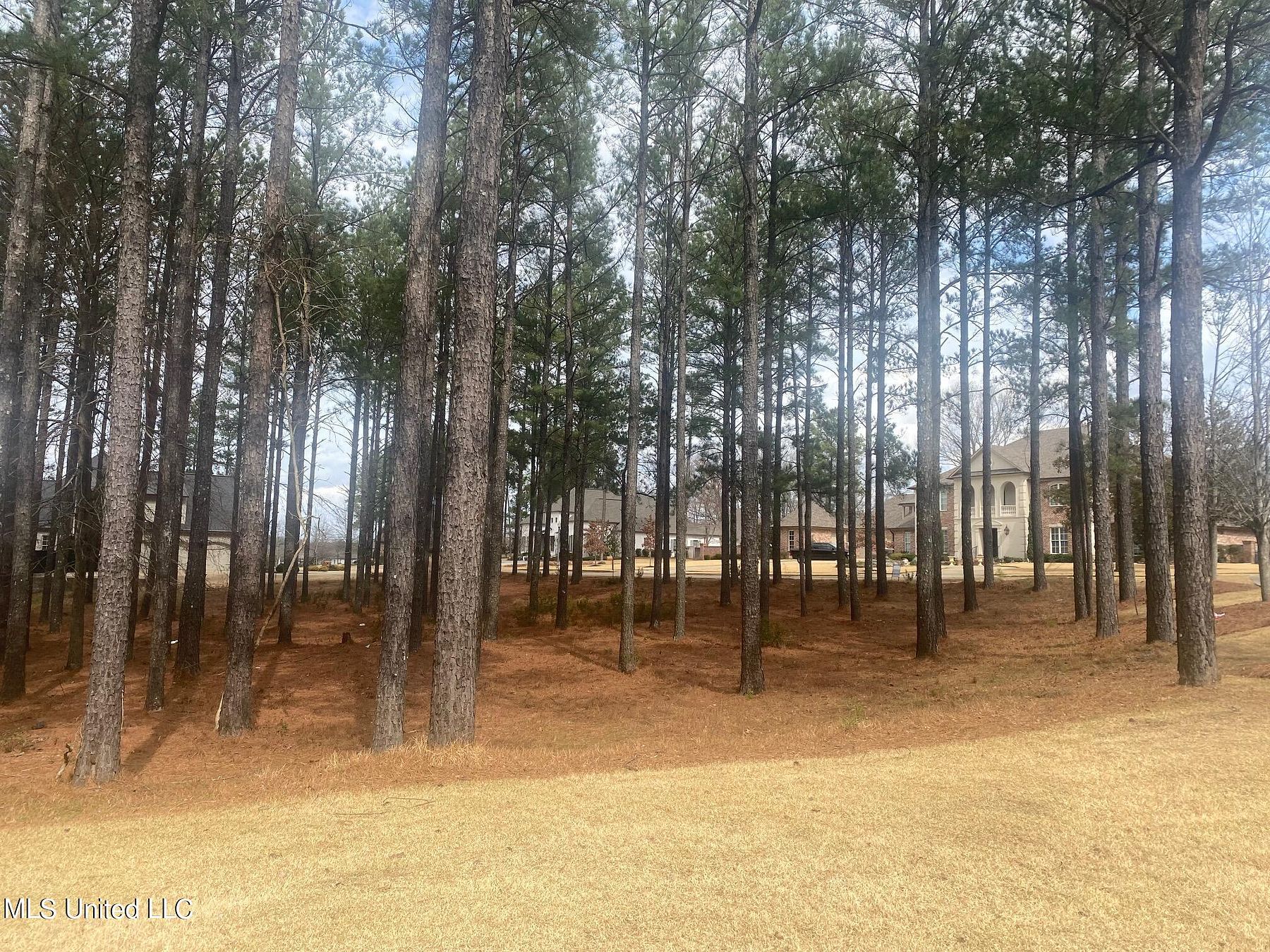 1 Acre of Residential Land Madison, Mississippi, MS