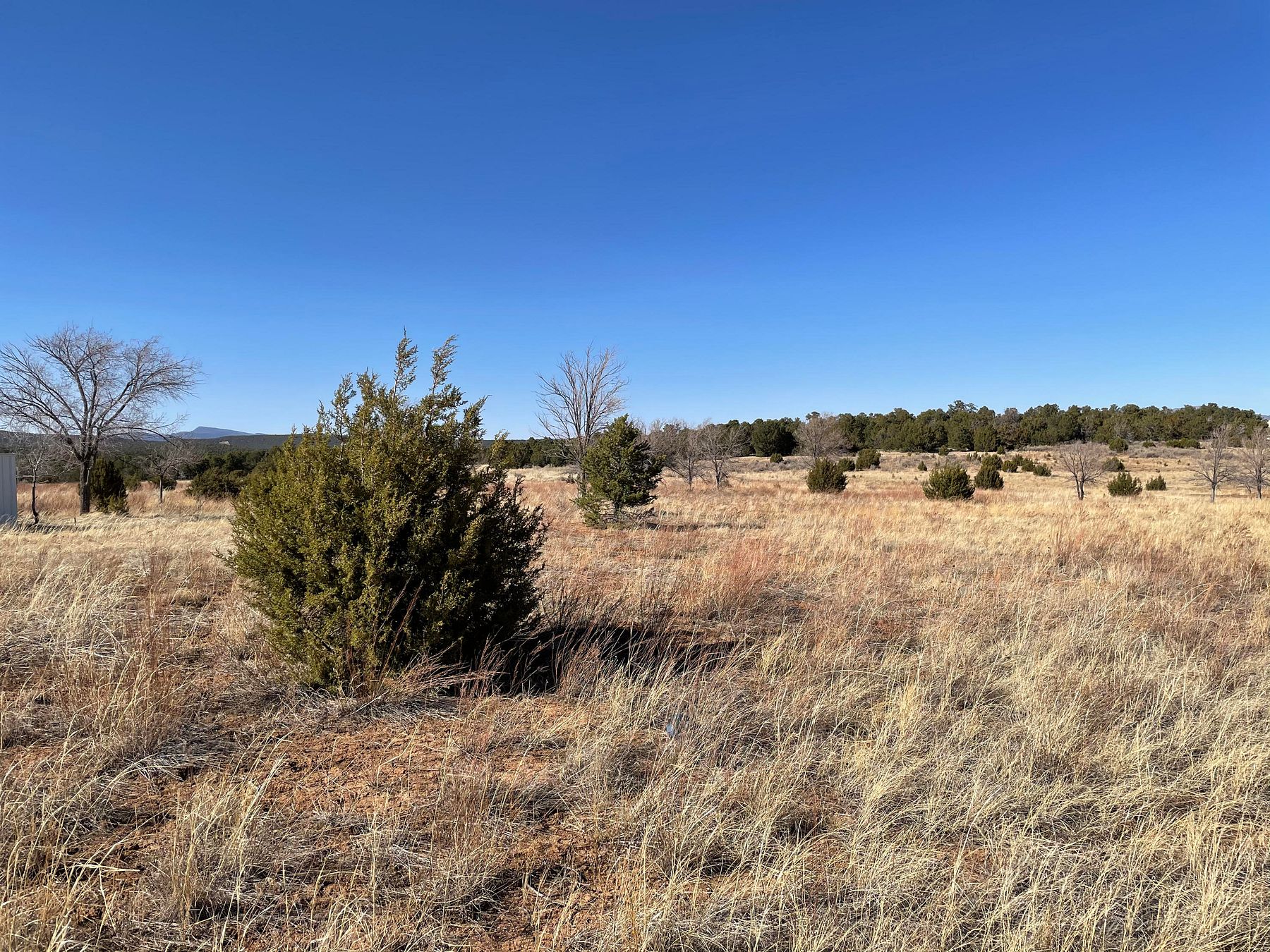 19.4 Acres of Land Tijeras, New Mexico, NM