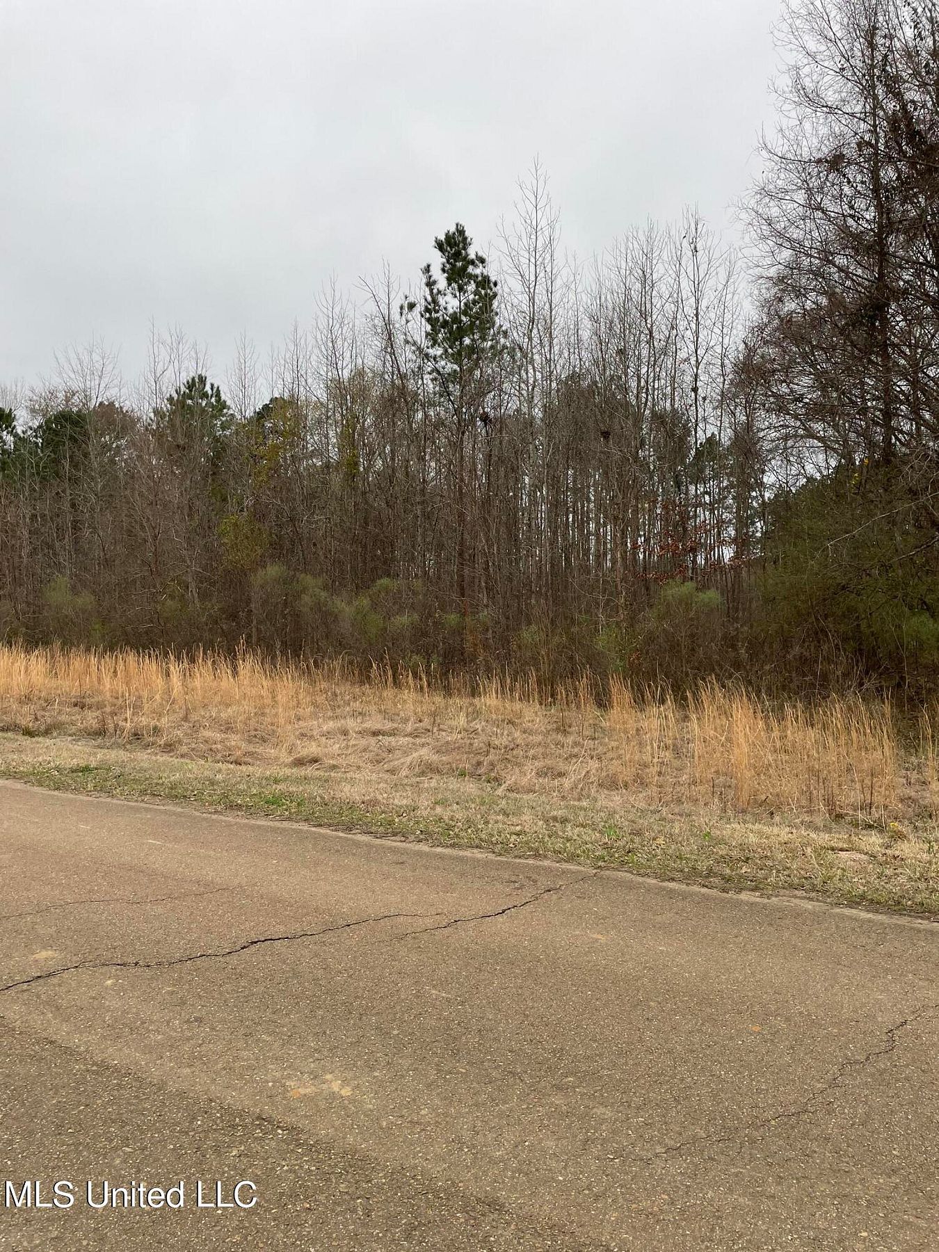 1.4 Acres of Residential Land Ridgeland, Mississippi, MS