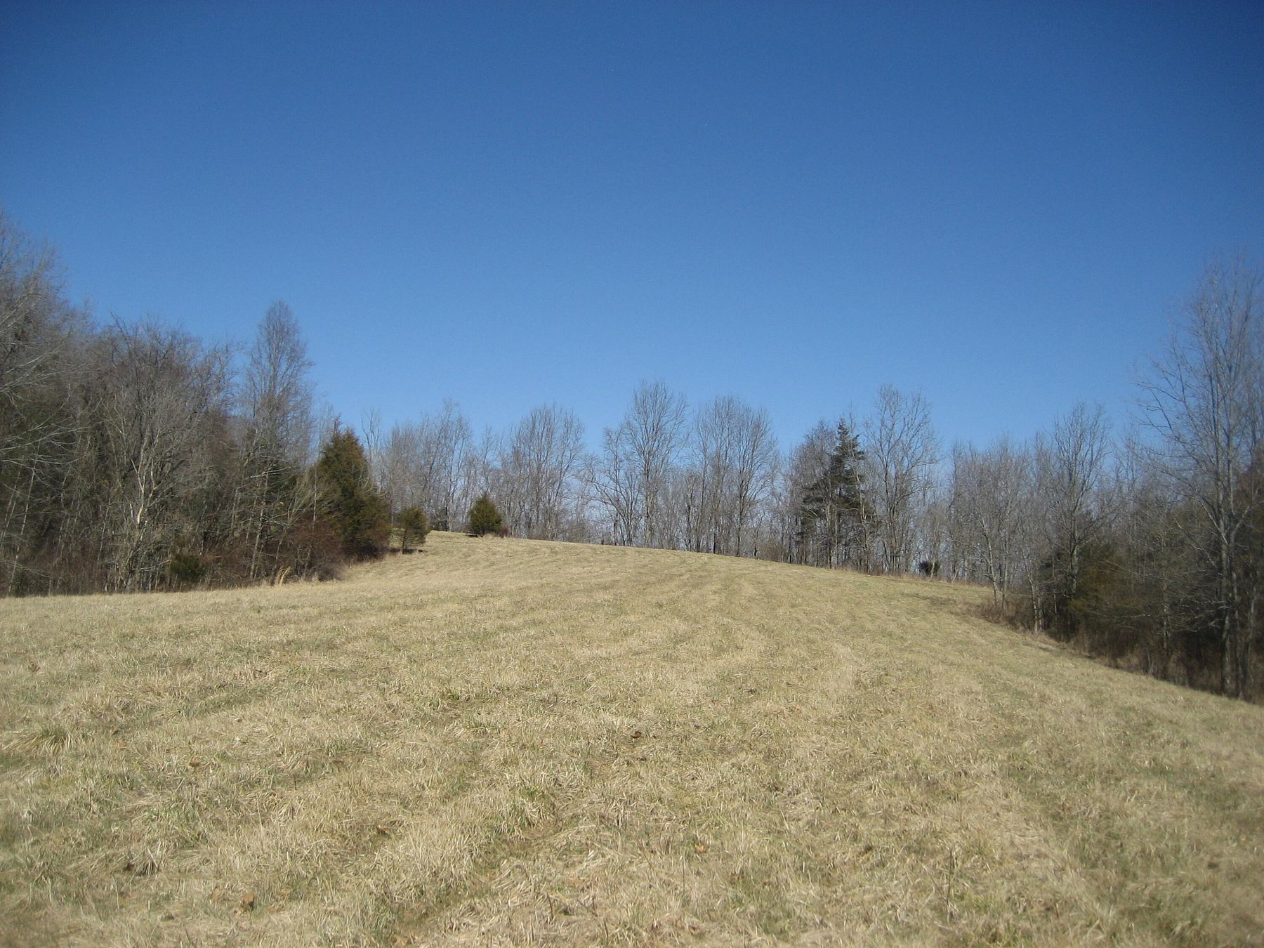 83 Acres of Recreational Land & Farm Lawrenceburg, Kentucky, KY