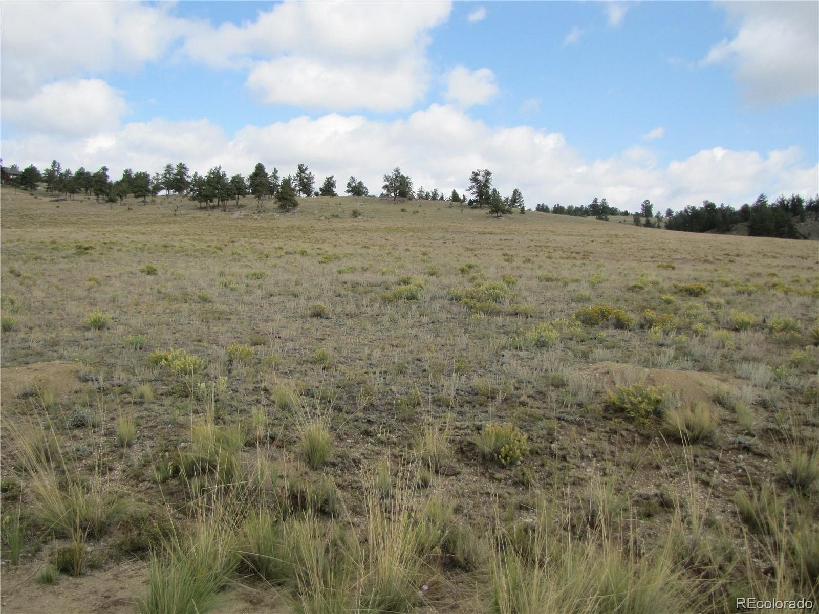 7 Acres of Land Hartsel, Colorado, CO