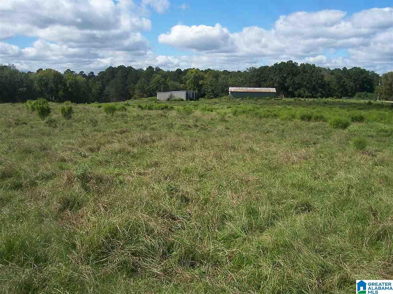 57 Acres of Agricultural Land Wilsonville, Alabama, AL